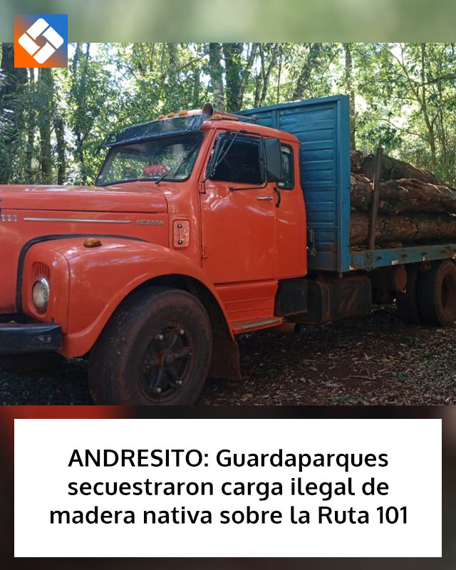 ANDRESITO: Guardaparques secuestraron carga ilegal de madera nativa sobre la Ruta 101