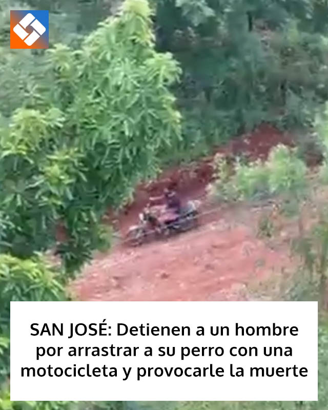 SAN JOSÉ: Detienen a un hombre por arrastrar a su perro con una motocicleta y provocarle la muerte