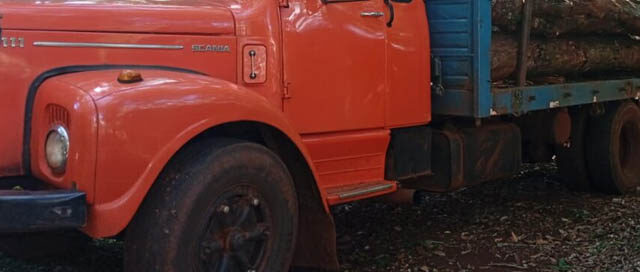 ANDRESITO: Guardaparques secuestraron carga ilegal de madera nativa sobre la Ruta 101