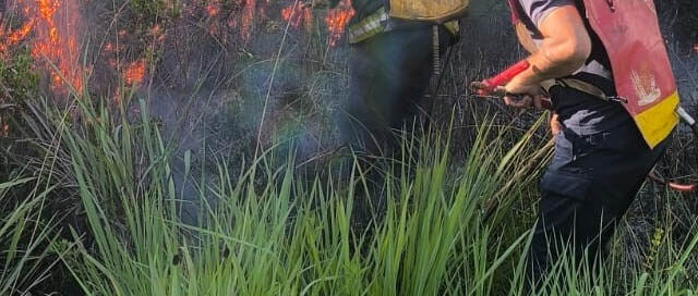 SANTA ANA: Bomberos policiales contuvieron un incendio de malezas cerca de las Reducciones Jesuíticas