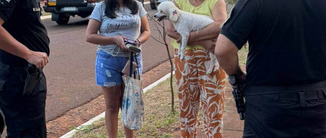 ESPERANZA: La Policía refuerza los operativos de prevención en la zona norte