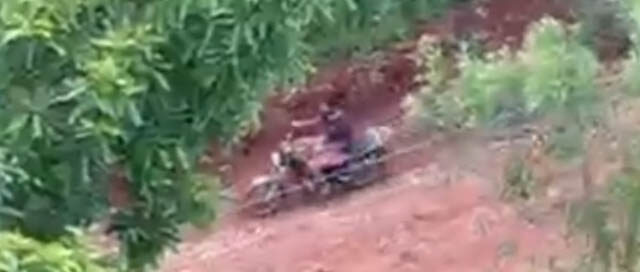 SAN JOSÉ: Detienen a un hombre por arrastrar a su perro con una motocicleta y provocarle la muerte