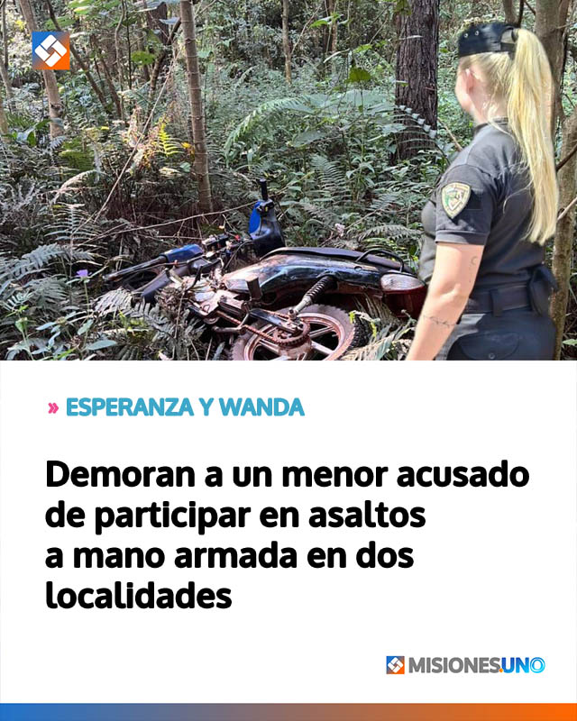 Demoran a un menor acusado de participar en asaltos a mano armada en dos localidades