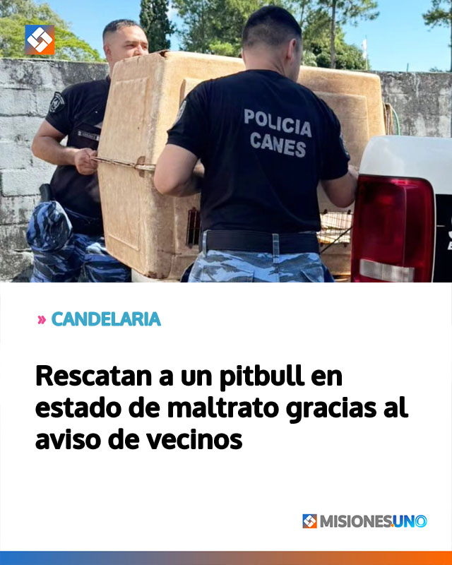 CANDELARIA: Rescatan a un pitbull en estado de maltrato gracias al aviso de vecinos