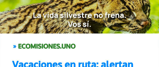 Vacaciones en ruta: alertan sobre la importancia de conducir con responsabilidad para proteger la vida