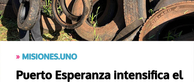 Puerto Esperanza intensifica el retiro de cubiertas en desuso para prevenir el dengue