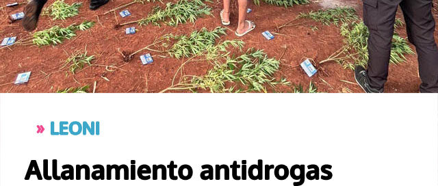 Allanamiento antidrogas permitió desmantelar una plantación ilegal de marihuana