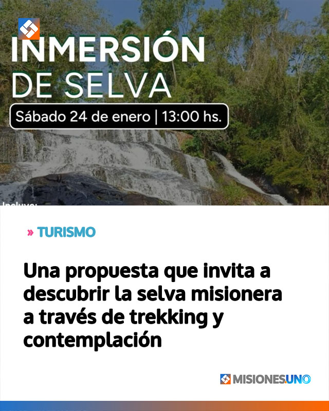 Una propuesta que invita a descubrir la selva misionera a través de trekking y contemplación