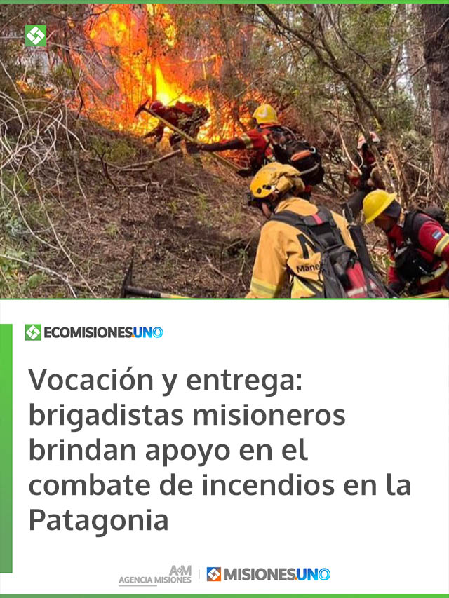 Vocación y entrega: brigadistas misioneros brindan apoyo en el combate de incendios en la Patagonia