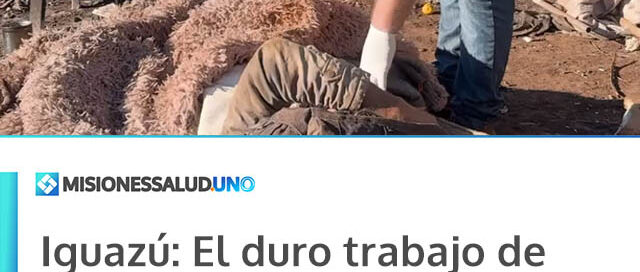 Puerto Iguazú refuerza el acompañamiento a personas en situación de calle y vulnerabilidad